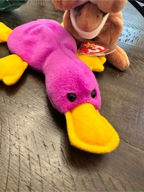 Ty Patti the Platypus and Pouch the Kangaroo 🦘Beanie Babies